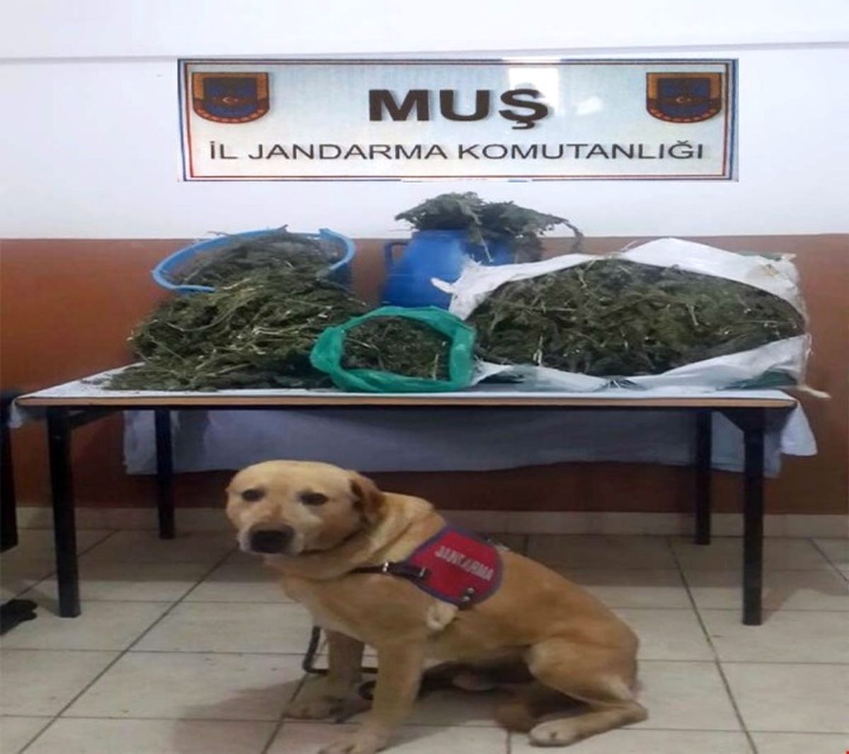 Muş\'ta Uyuşturucu Operasyonu
