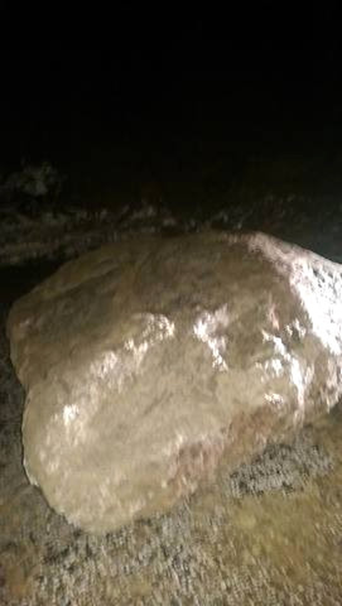 Bozüyük Jandarmasının Kapanan Yol Seferberliği