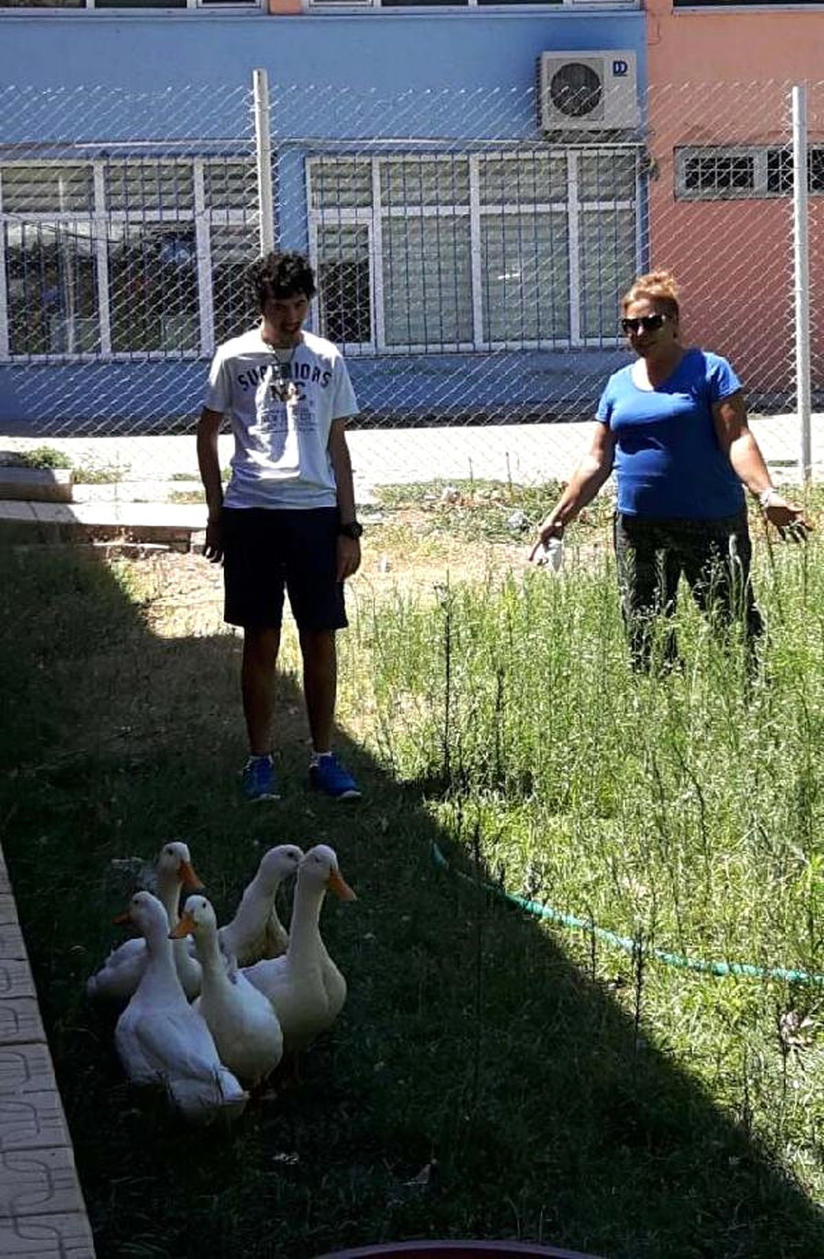 Engelli Öğrencilerin Ördeklerini Çaldılar