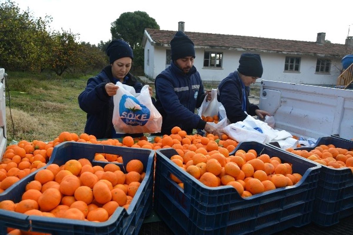 Söke Belediyesi\'nden Vatandaşa C Vitamini
