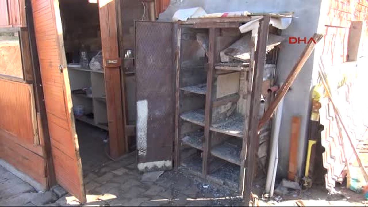Adana Keçi ve Güvercinleri Çalındı