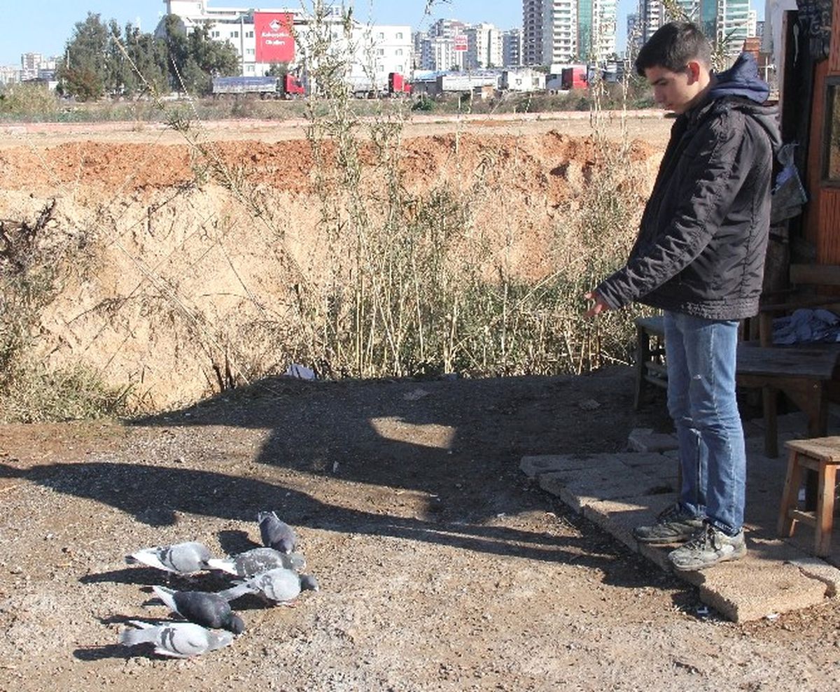 Duvarı Kırıp Keçiyi ve Güvercinleri Çaldılar