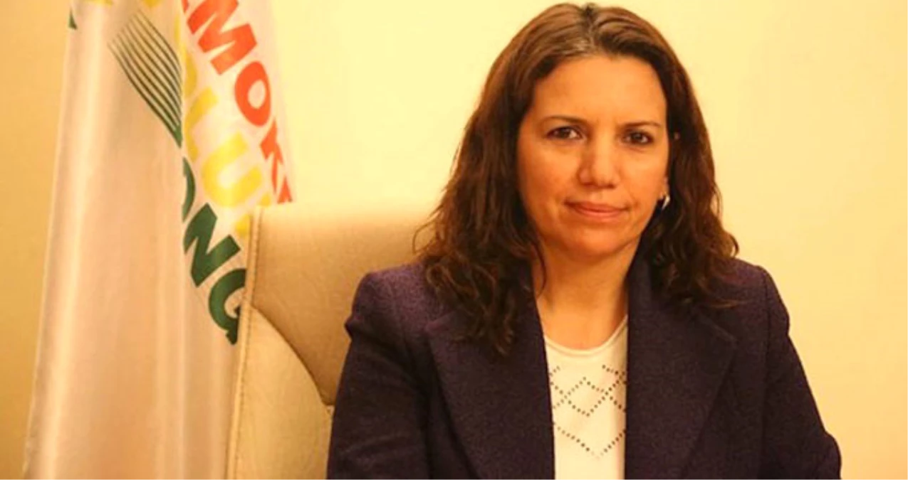 HDP\'li Milletvekiline \'Cumhurbaşkanına Hakaret\'ten 4 Yıla Kadar Hapis İstemi