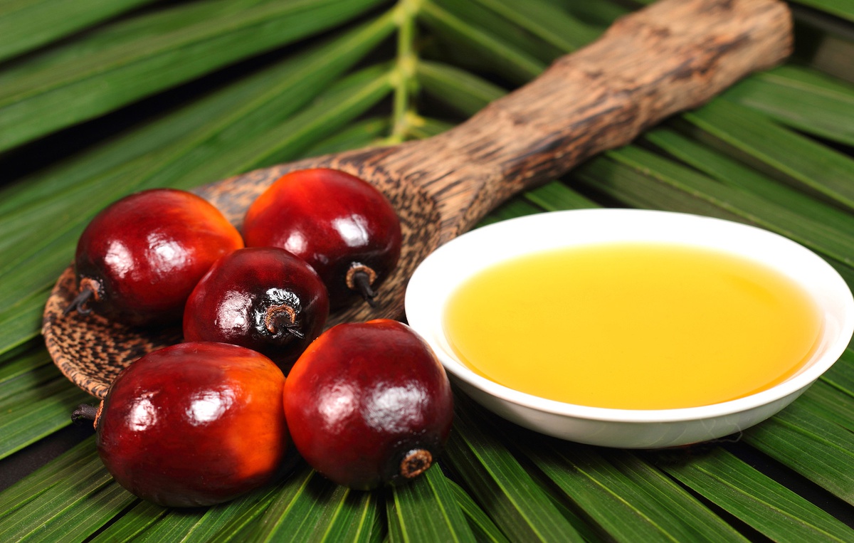 Kib\'den Palm Yağı Tartışmalarına Tepki