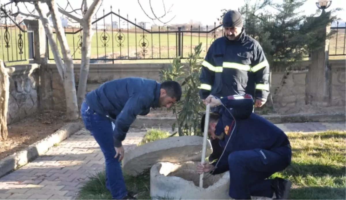 Rögara Düşen Kediyi İtfaiye Ekipleri Çıkardı