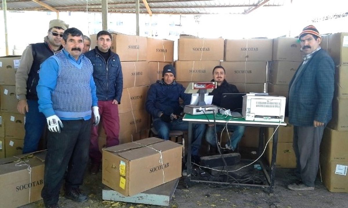 Selendi\'de Tütün Alımları Başladı