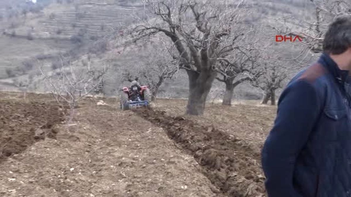 Siirt\'te \'Yalancı Bahar\' Fıstık Üreticilerini Kaygılandırıyor