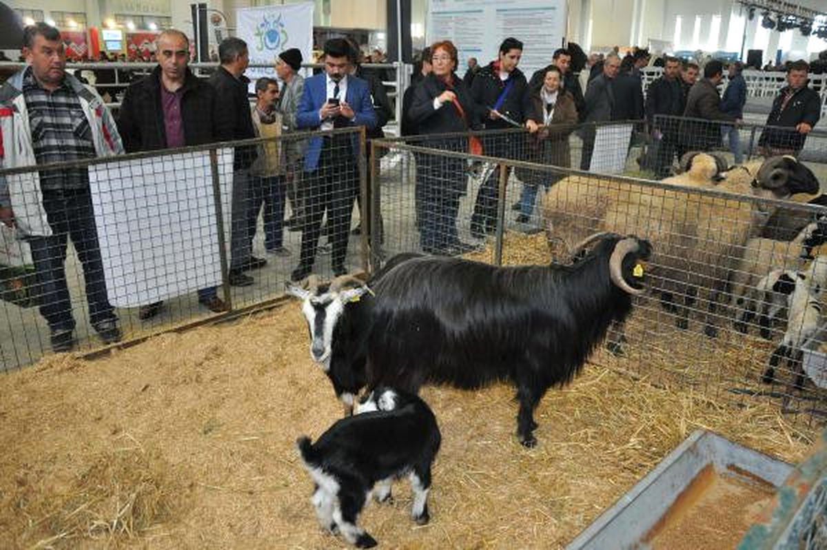 12. Uluslararası Tarım ve Hayvancılık Fuarı