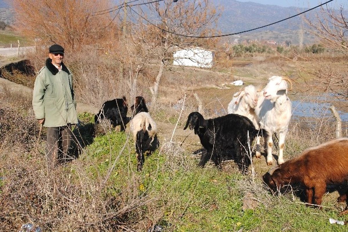 Doğuda Kar, Aydın\'da Bahar