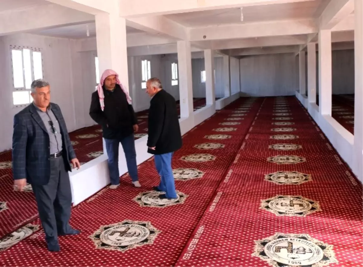 Harran Belediyesinden Cami ve Taziye Evlerine Halı Desteği