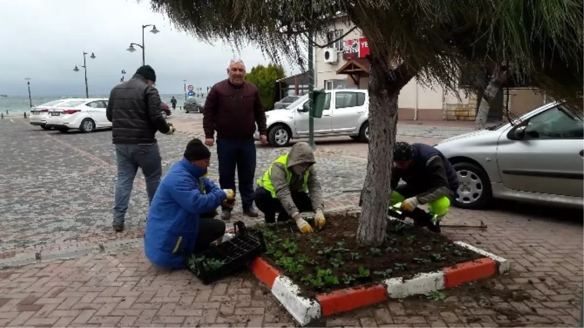 Marmaraereğlisi\'nde Çiçek Dikimi Çalışmaları