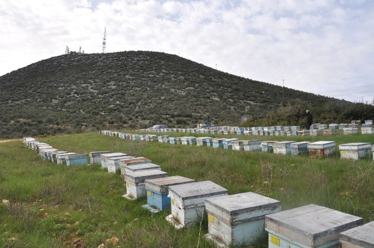Mersin\'in Orman Köylülerine Bakanlıktan 3,99 Milyon TL Kredi Desteği