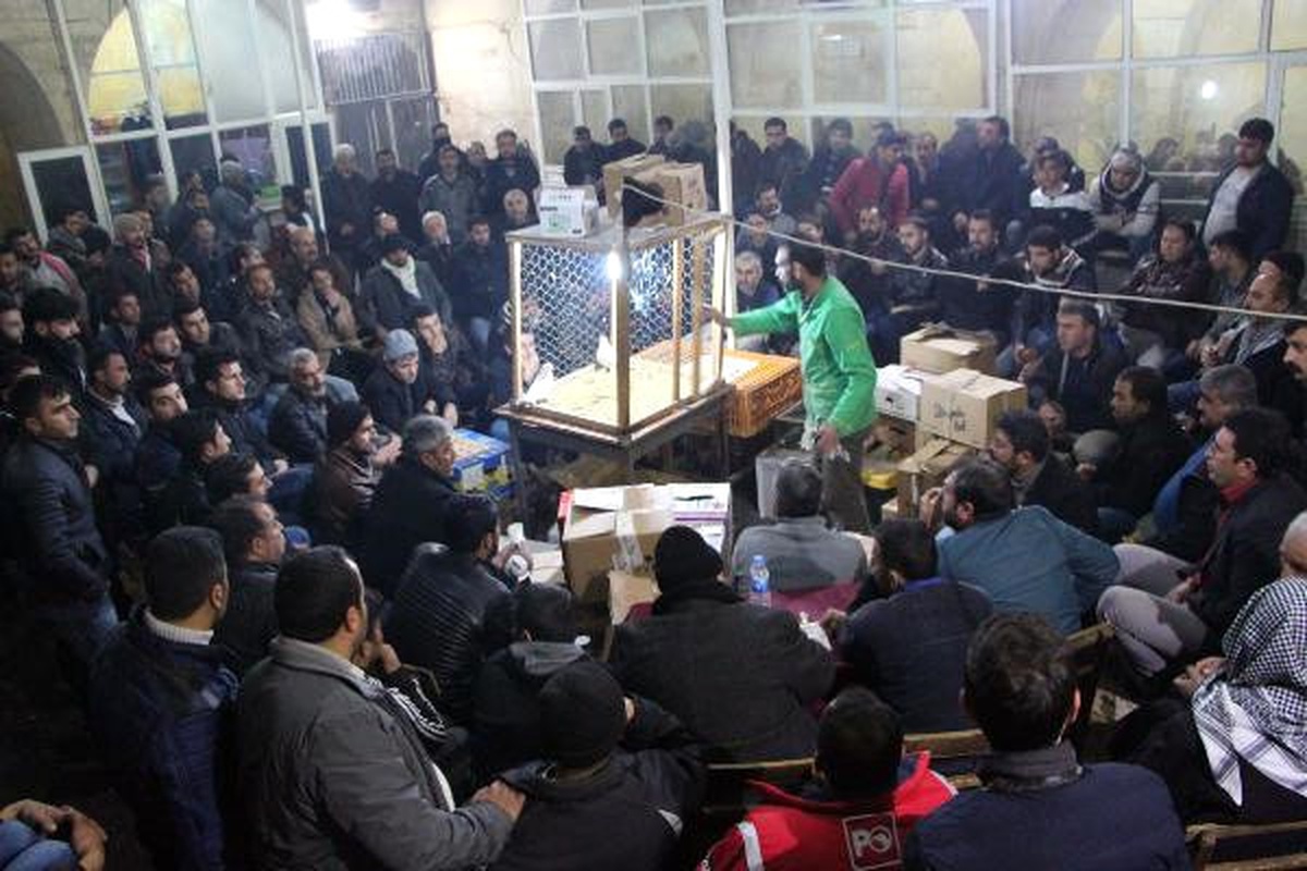 Şanlıurfa\'da, Otomobil Fiyatına Güvercin