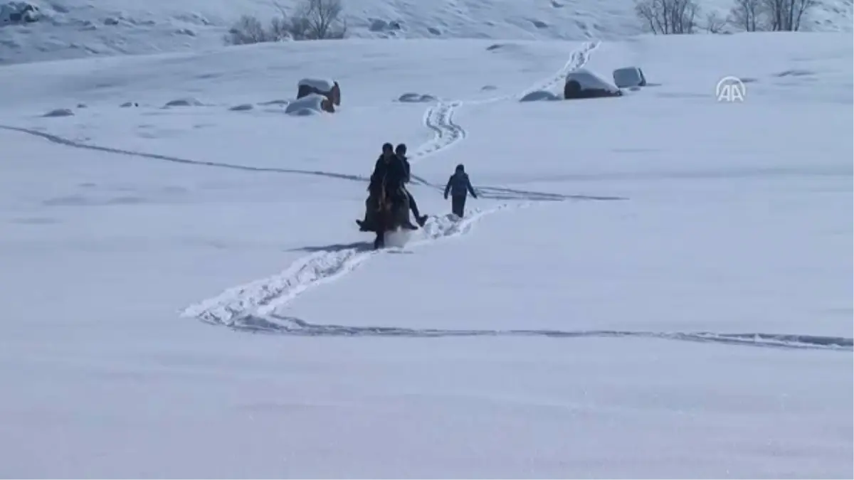 Ulaşımlarını Kızakla Sağlıyorlar