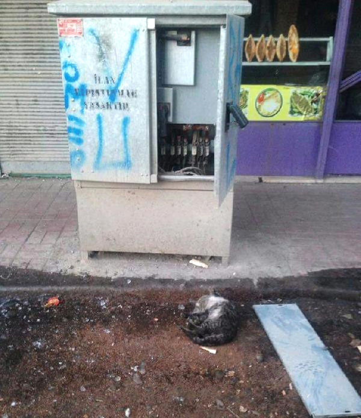 Elektrik Trafosuna Giren Kedi Telef Oldu