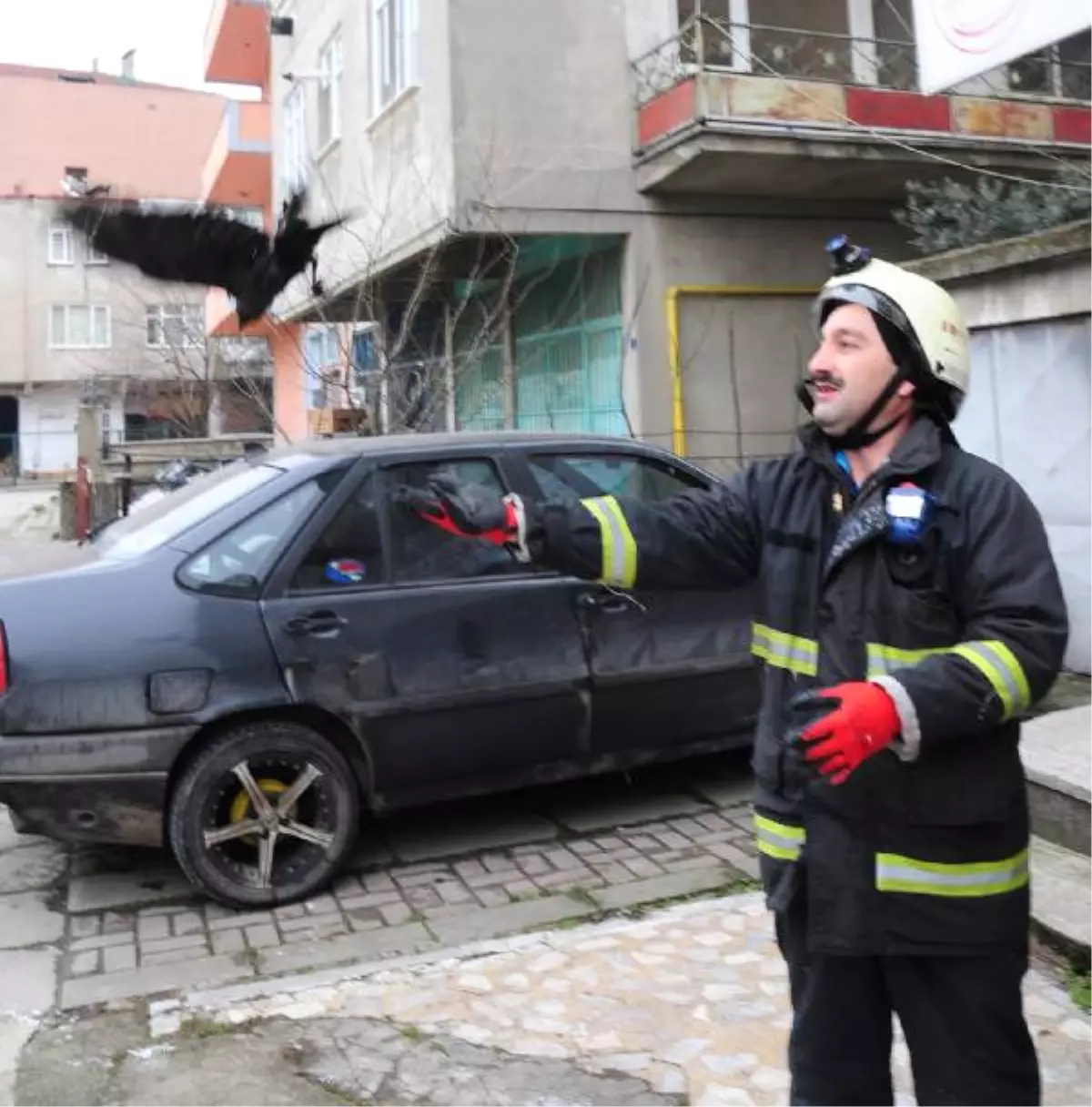 Kkiremitlerin Arasına Kanadı Sıkışan Kargayı İtfaiyeci Kurtardı