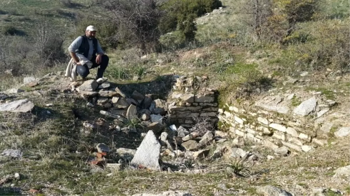 Koyun Otlatan Çoban 2 Bin Yıllık Tarihi Kalıntı Buldu