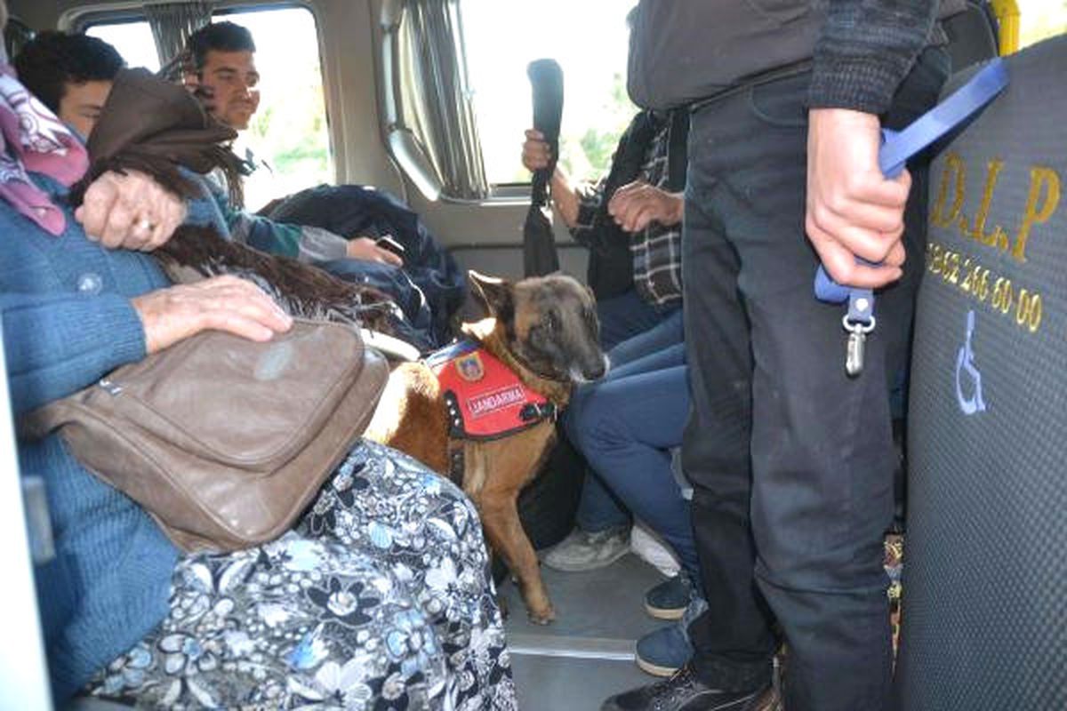 Uyuşturucuya Karşı Yol Denetimi