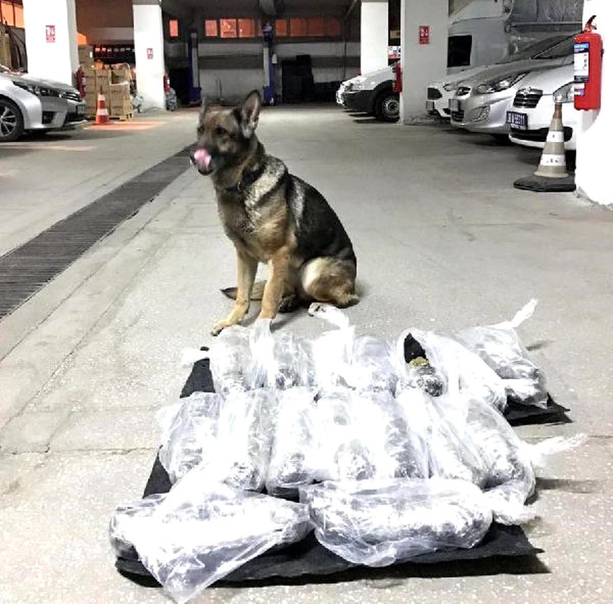 Yakıt Deposundan Uyuşturucu Çıktı
