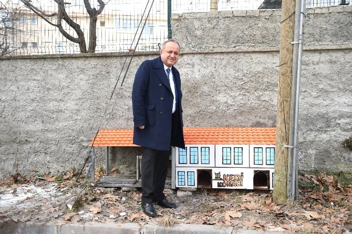Kastamonu Belediyesinden "Kedi Konakları"