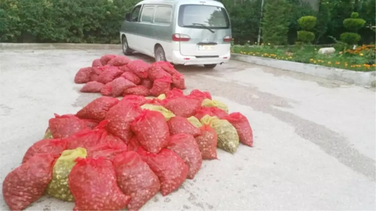 Keşan\'da 1 Ton 200 Kilo Kaçak Midye Ele Geçirildi