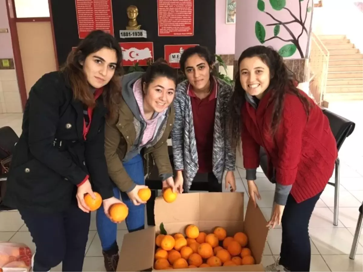 Kumlucalı Öğrenciler Muş Hasköy\'e Sebze Meyve Gönderdi