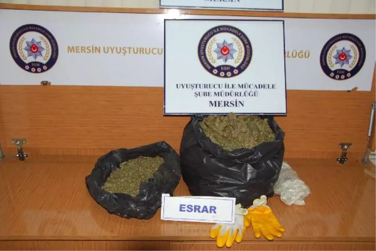 Mersin\'de Uyuşturucu Operasyonu: 19 Kişi Tutuklandı