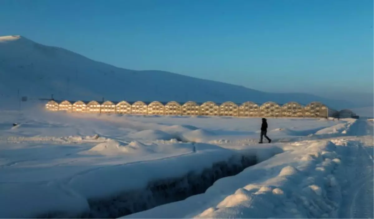 Eksi 40 Derecede Domates Üretiliyor