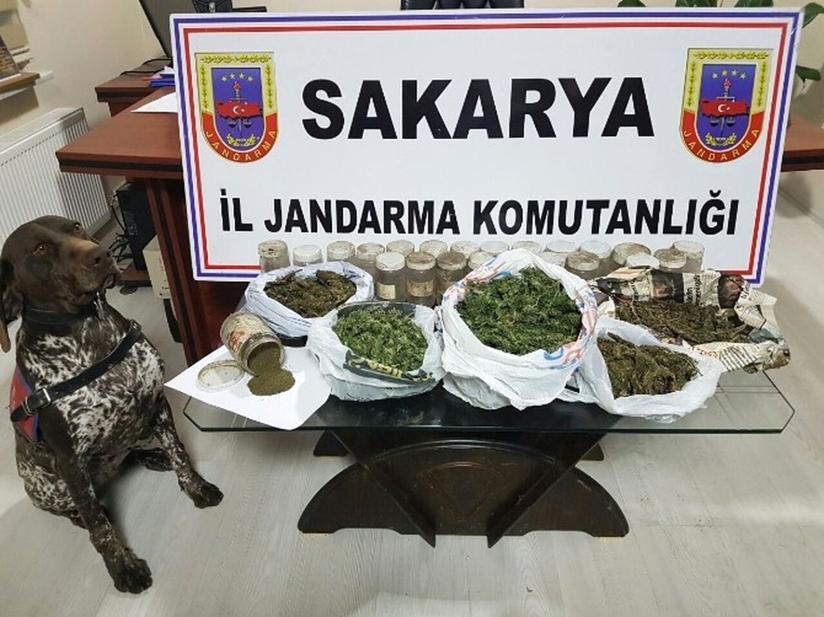 Jandarma Ekiplerinden Esrar Operasyonu