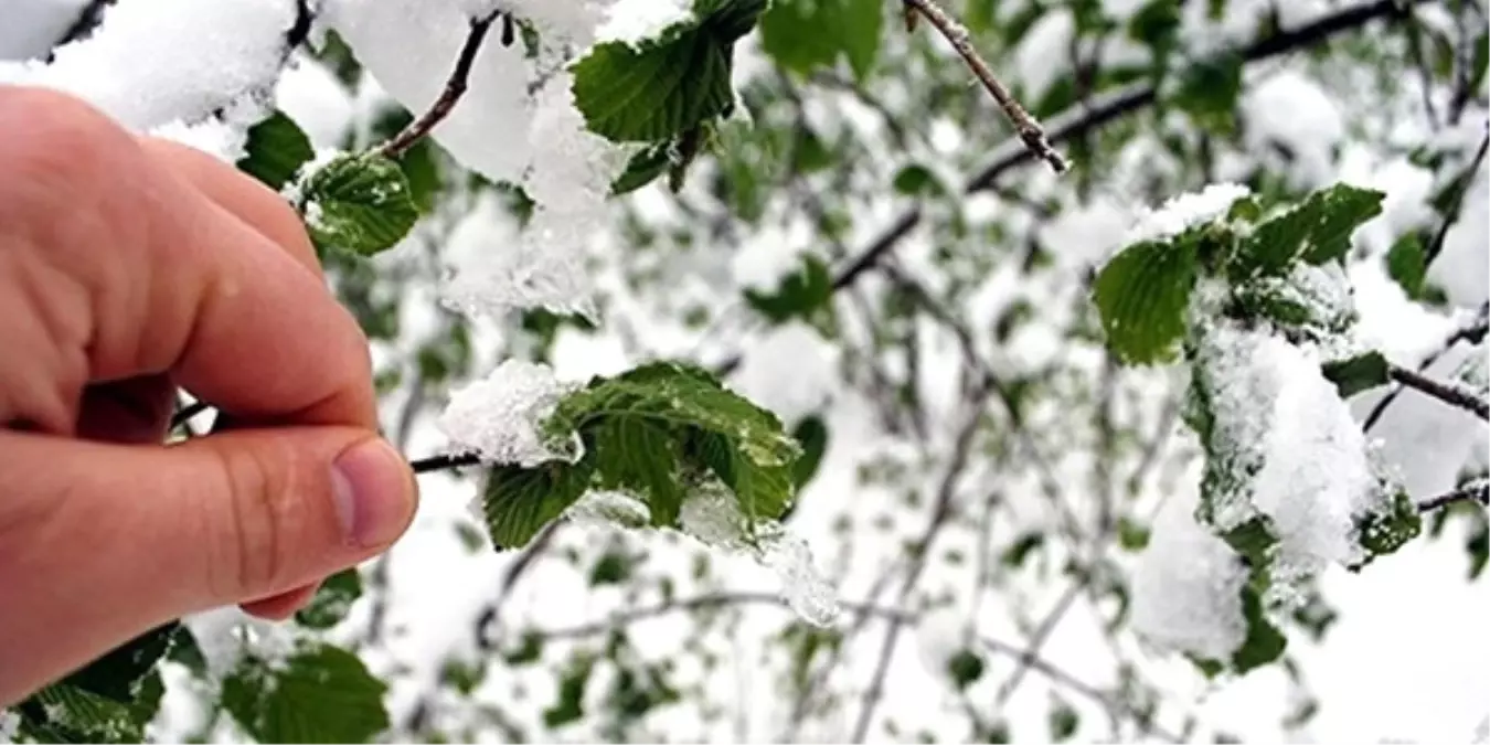 Meteorolojiden Zirai Don ve Çığ Uyarısı