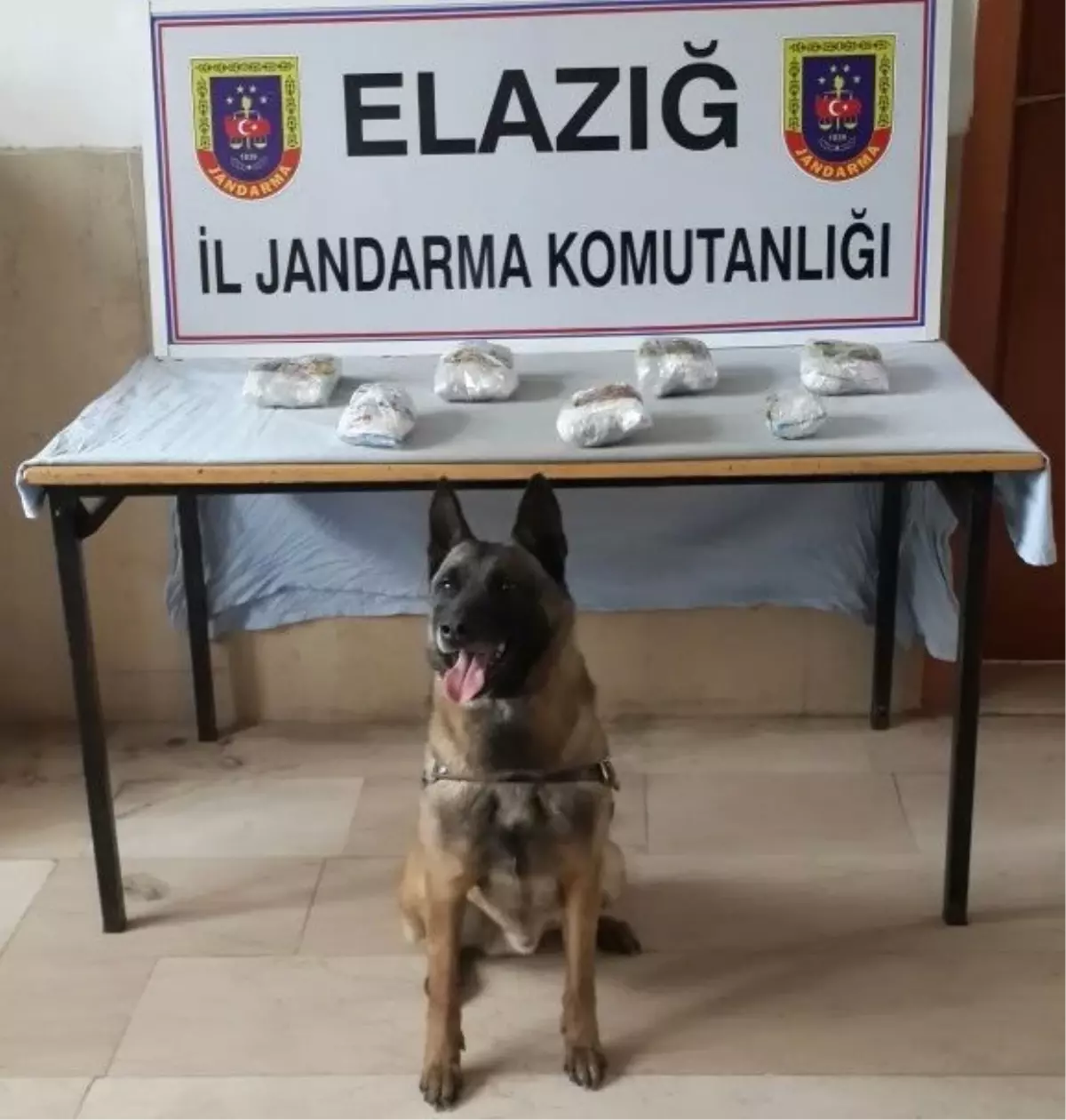 Narkotik Köpeği Trendeki Esrarı Buldu