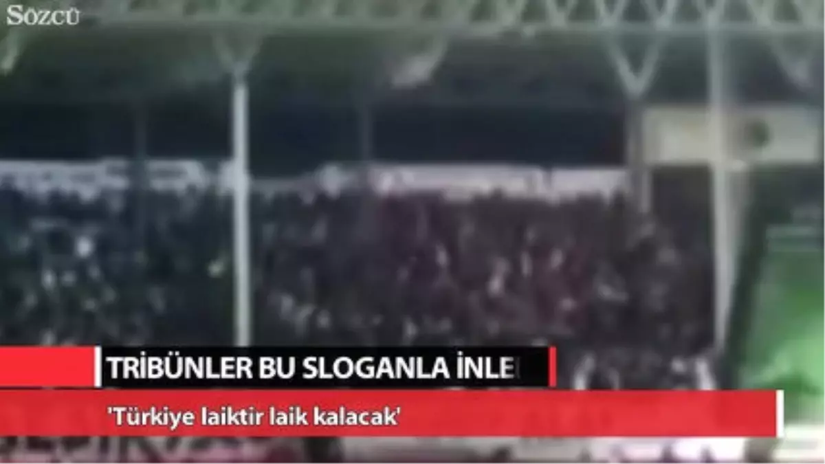 Tribünler Bu Sloganla İnledi