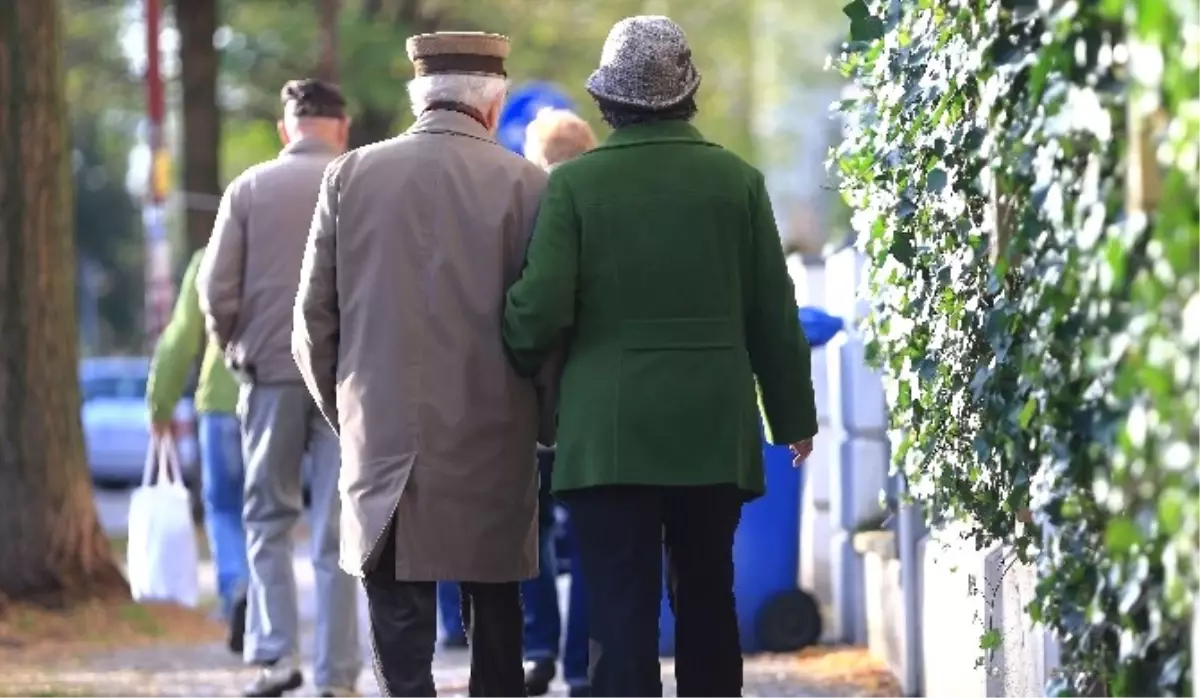 Alman Nüfusu Eriyor! Doğum Oranları Geriliyor, Evlerde Beslenen Köpek Sayısı Artıyor