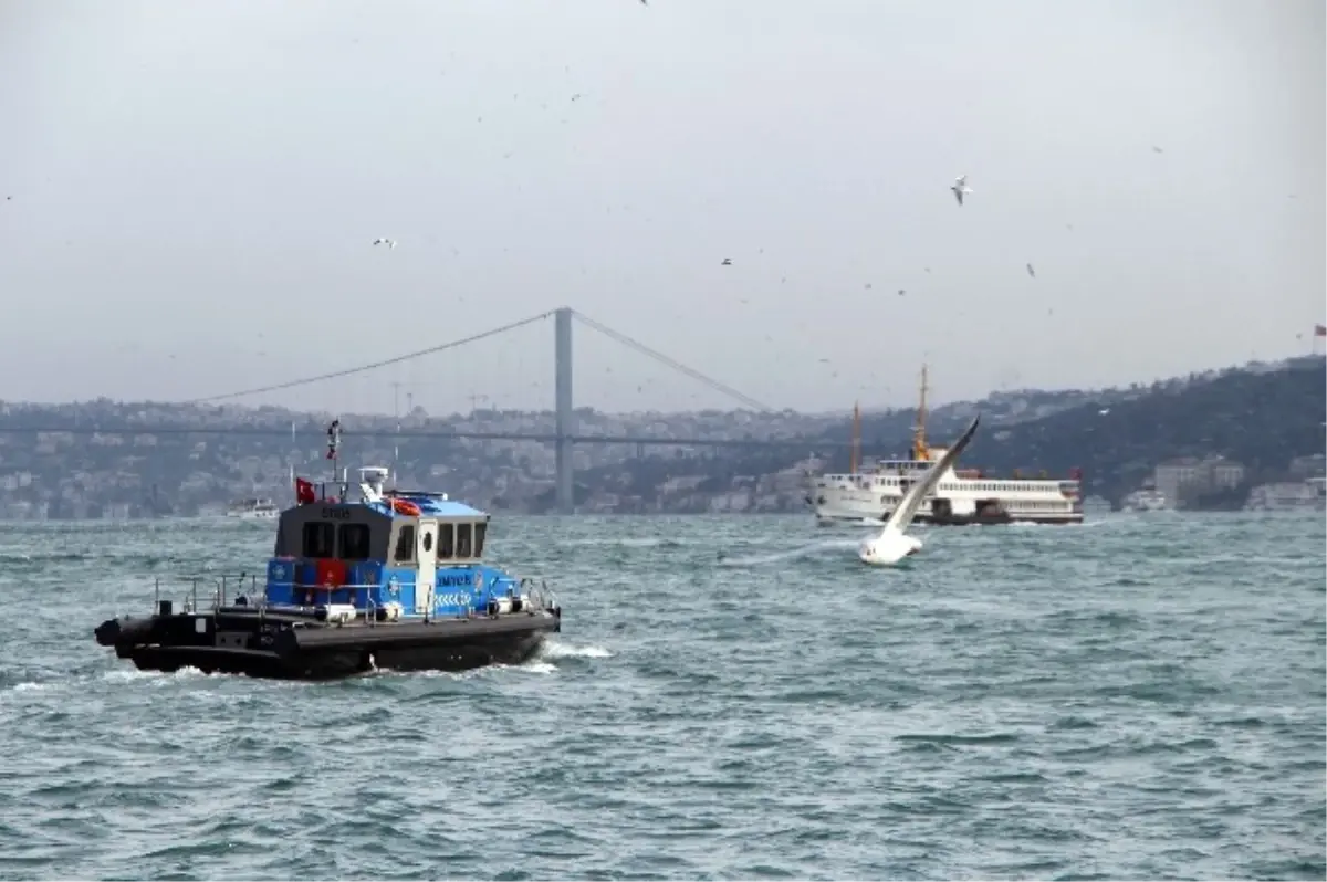 Annesinin Denize Attığı Bebeği Arama Çalışmaları Bugün de Devam Ediyor