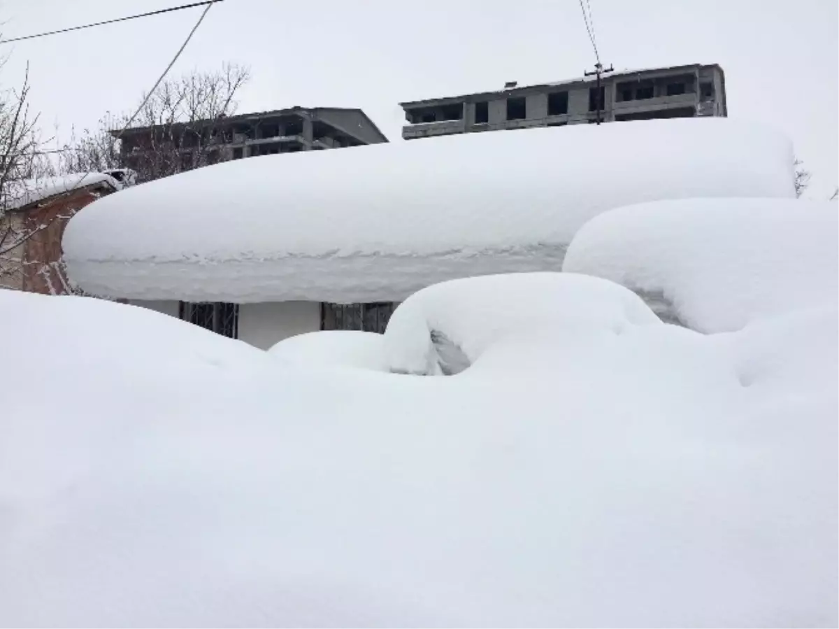 Bitlis\'te 245 Köy Yolu Ulaşıma Kapandı