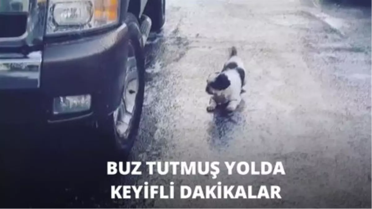 Buzda Kaymak Hiç Bu Kadar Eğlenceli Olmamıştı