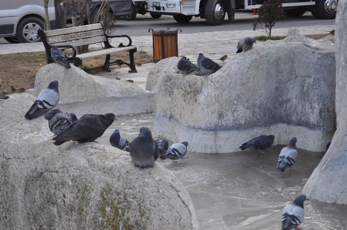 Kırklareli\'nde Süs Havuzları Buz Tuttu