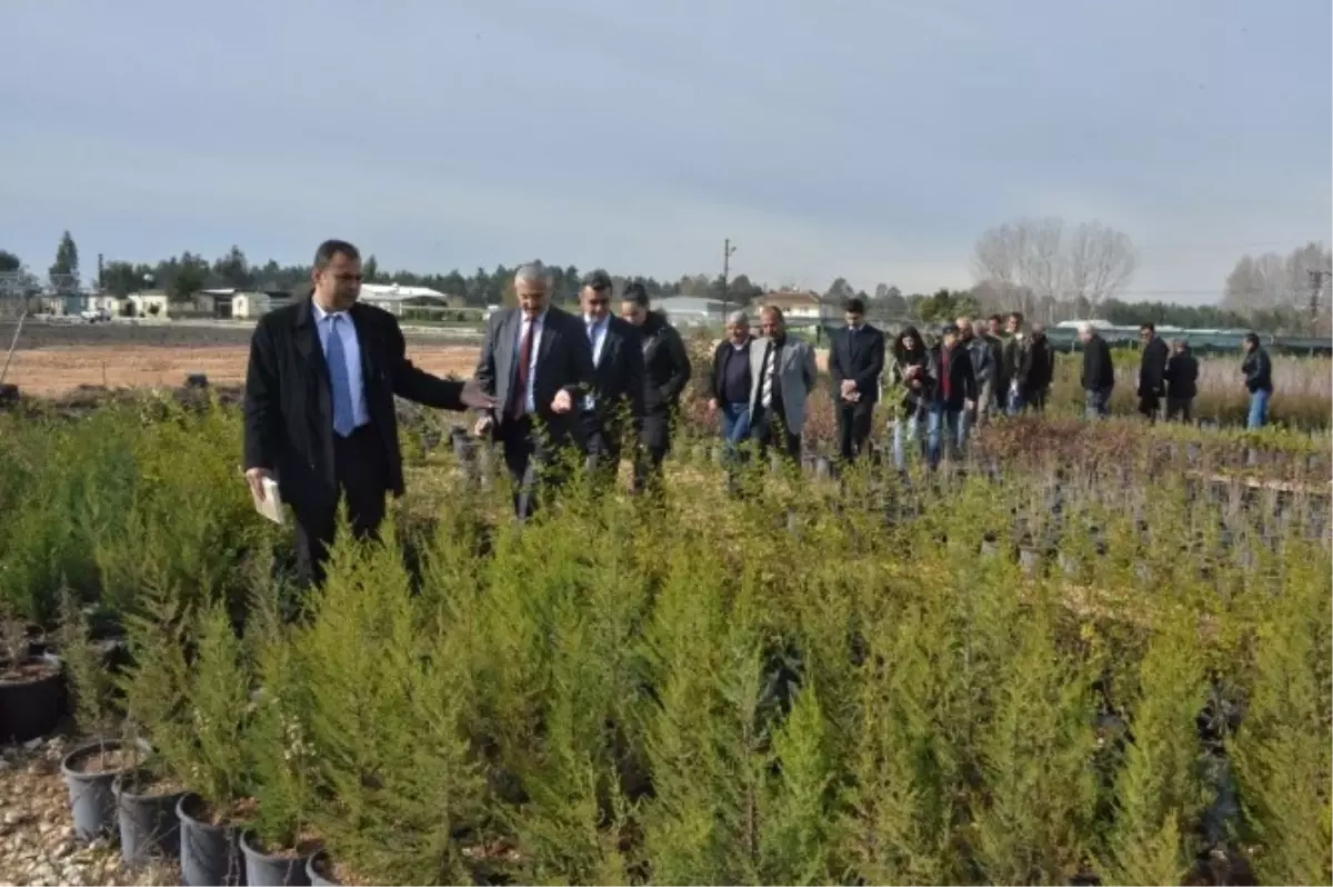 Mersin Orman Bölge Müdürlüğü Fidanlıkları, Belediyelere de Fidan Desteği Verecek