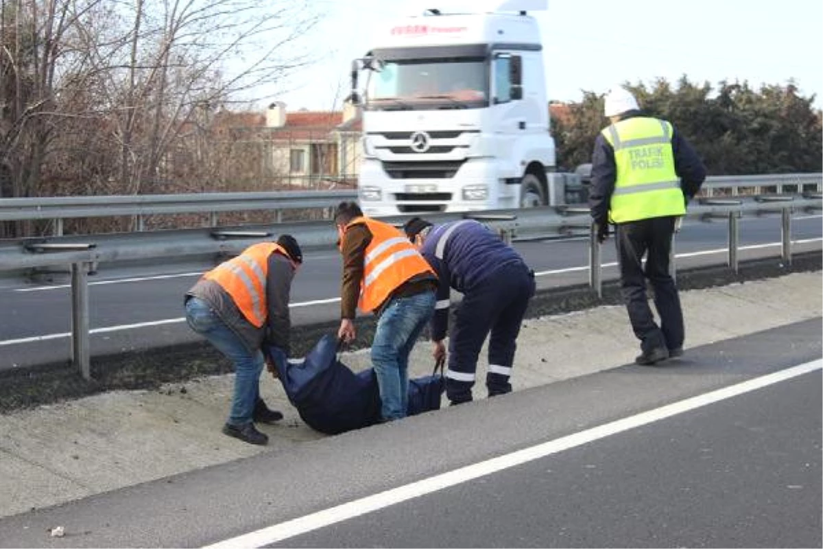 Takla Atan Otomobilde Anne Öldü, 2 Oğlu Yaralandı