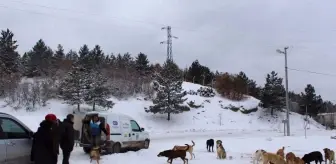 Çubuk'ta Kış