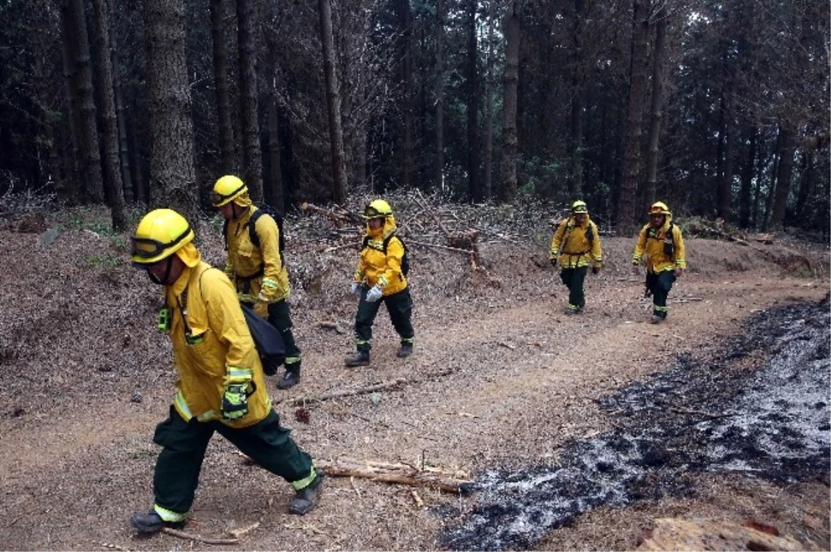Şili\'de Orman Yangınında Ölü Sayısı 11\'e Yükseldi