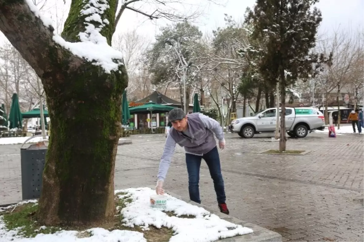 Sokak Hayvanlarına Yem Bırakıldı