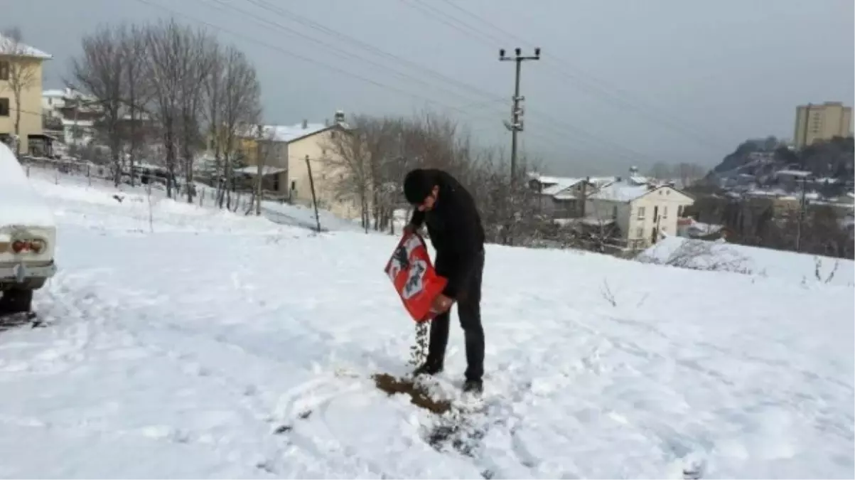 Sokak Hayvanlarına Yem Bırakıldı