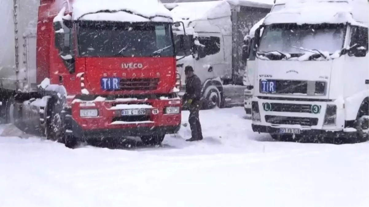 Tendürek Dağı Yolu Kapandı