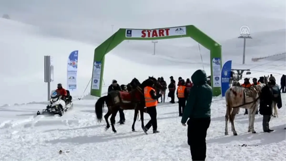 Uludağ Kış Şenliği" Başladı