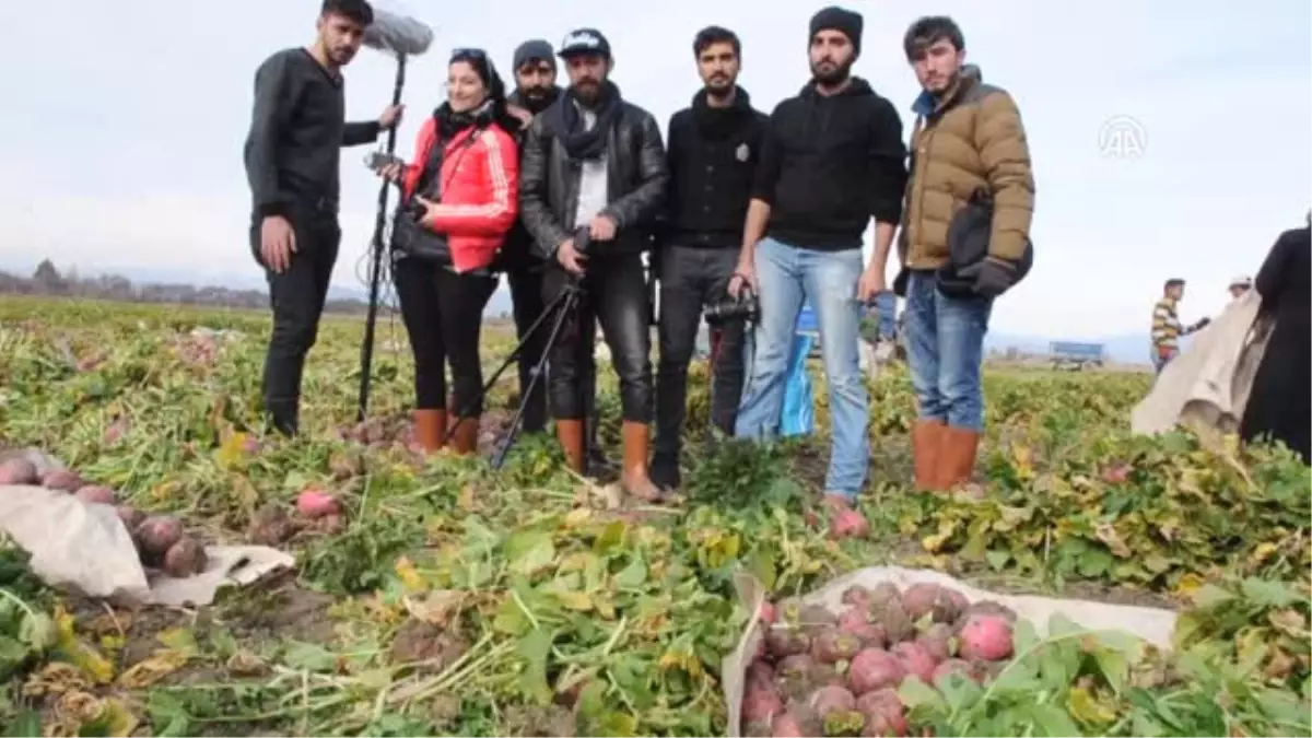 Üniversiteli Öğrencilerinden "Turp" Belgeseli - Osmaniye