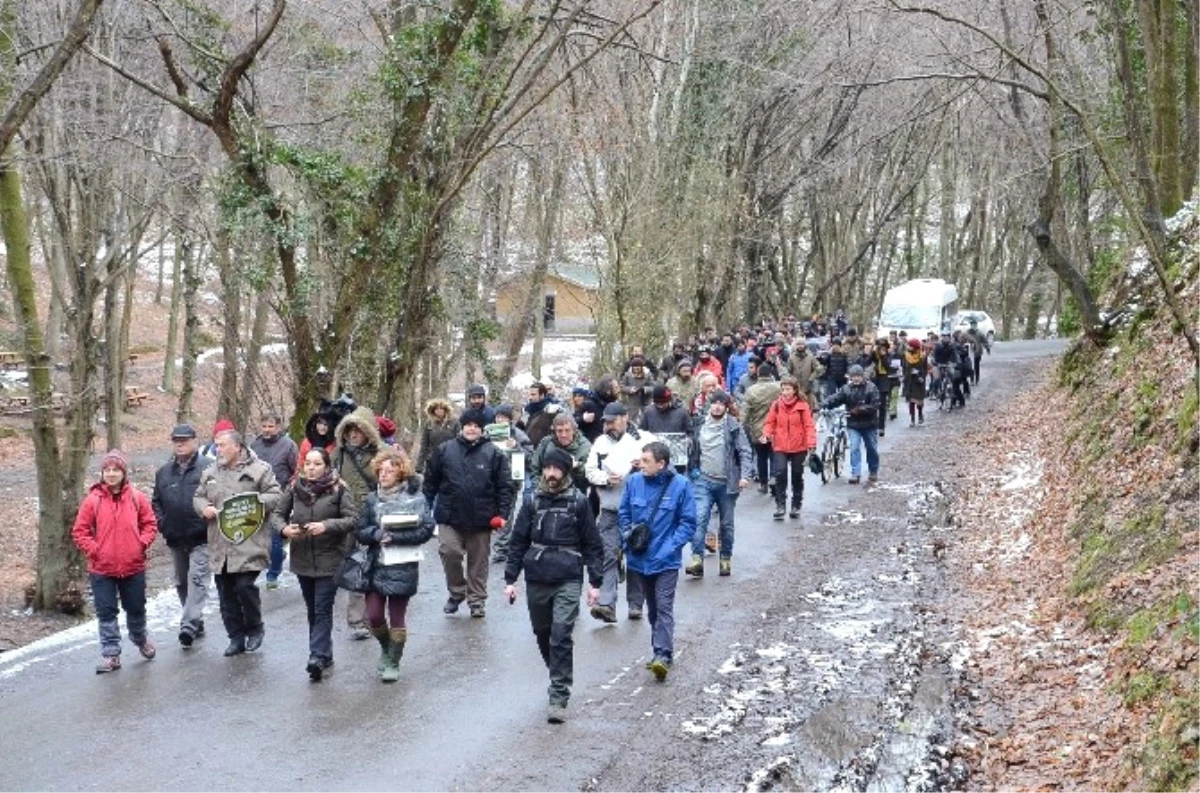 Belgrad Ormanı\'nda "Dekovil Hattı" Protestosu