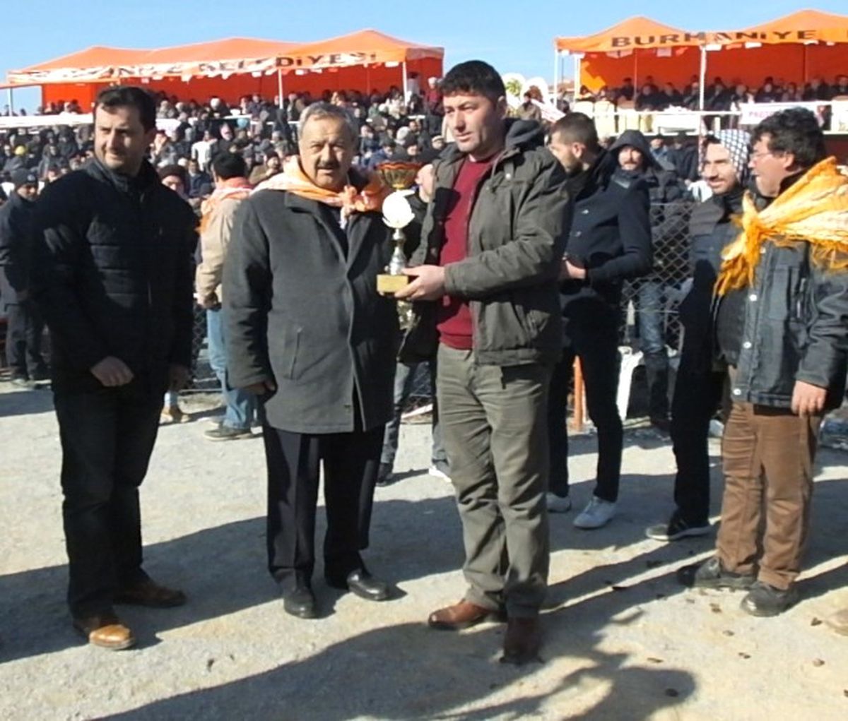Burhaniye\'de Deve Güreşlerini 10 Bin Kişi İzledi