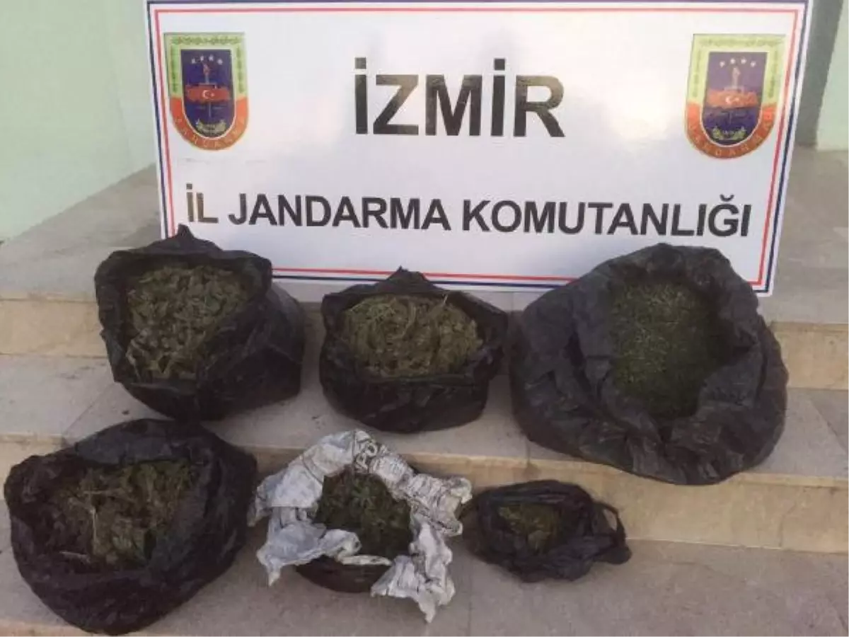 İki Evinde Toplam 4 Kilo 100 Gram Esrarla Yakalandı