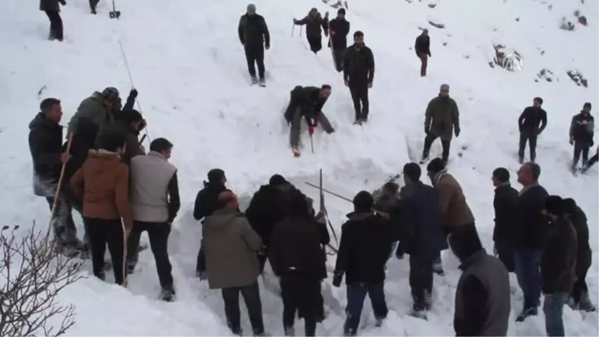 Muradiye\'de Çığ Altında Kalanlara Ulaşıldı